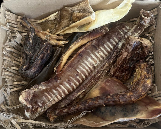 BOX mastication "découverte"