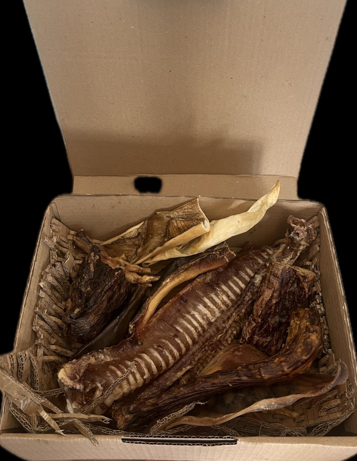 BOX mastication "découverte"