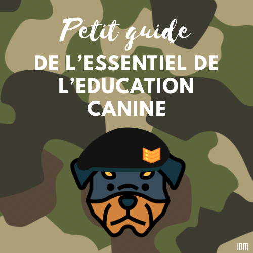 Petit guide de l'essentiel de l'éducation canine