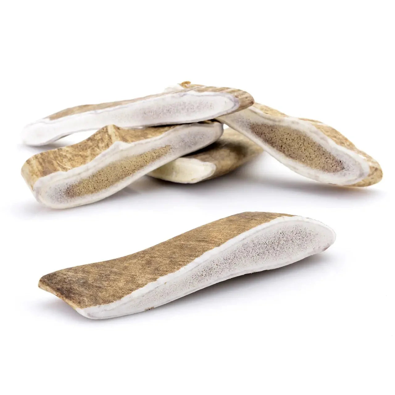 Bois de daim pour chien