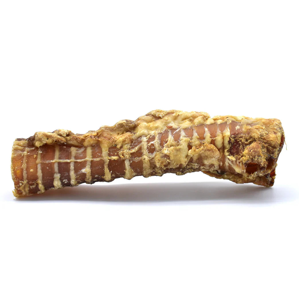 Trachée de bœuf pour chien