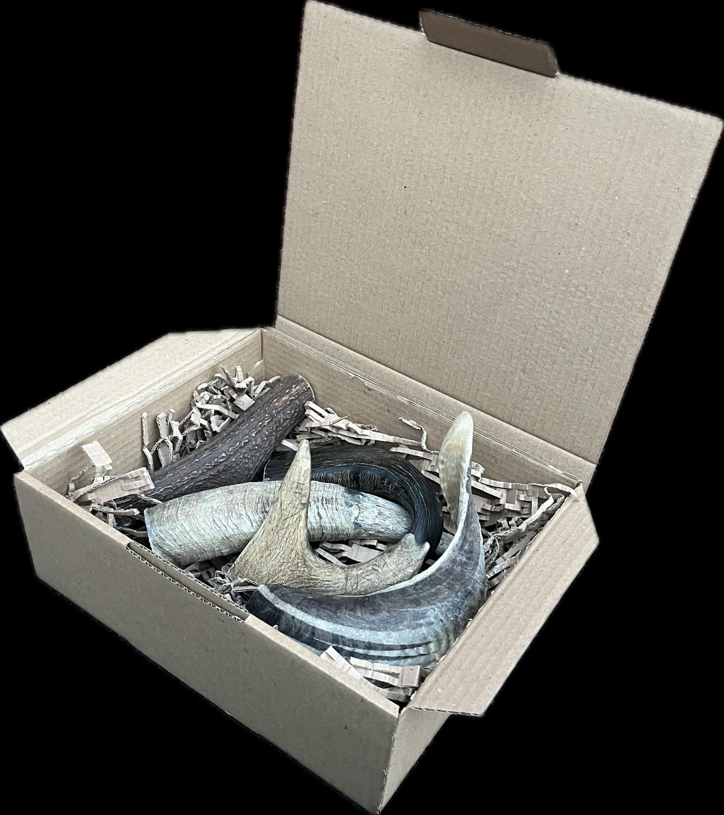 Mastication "EXTREME" pour chien destructeur