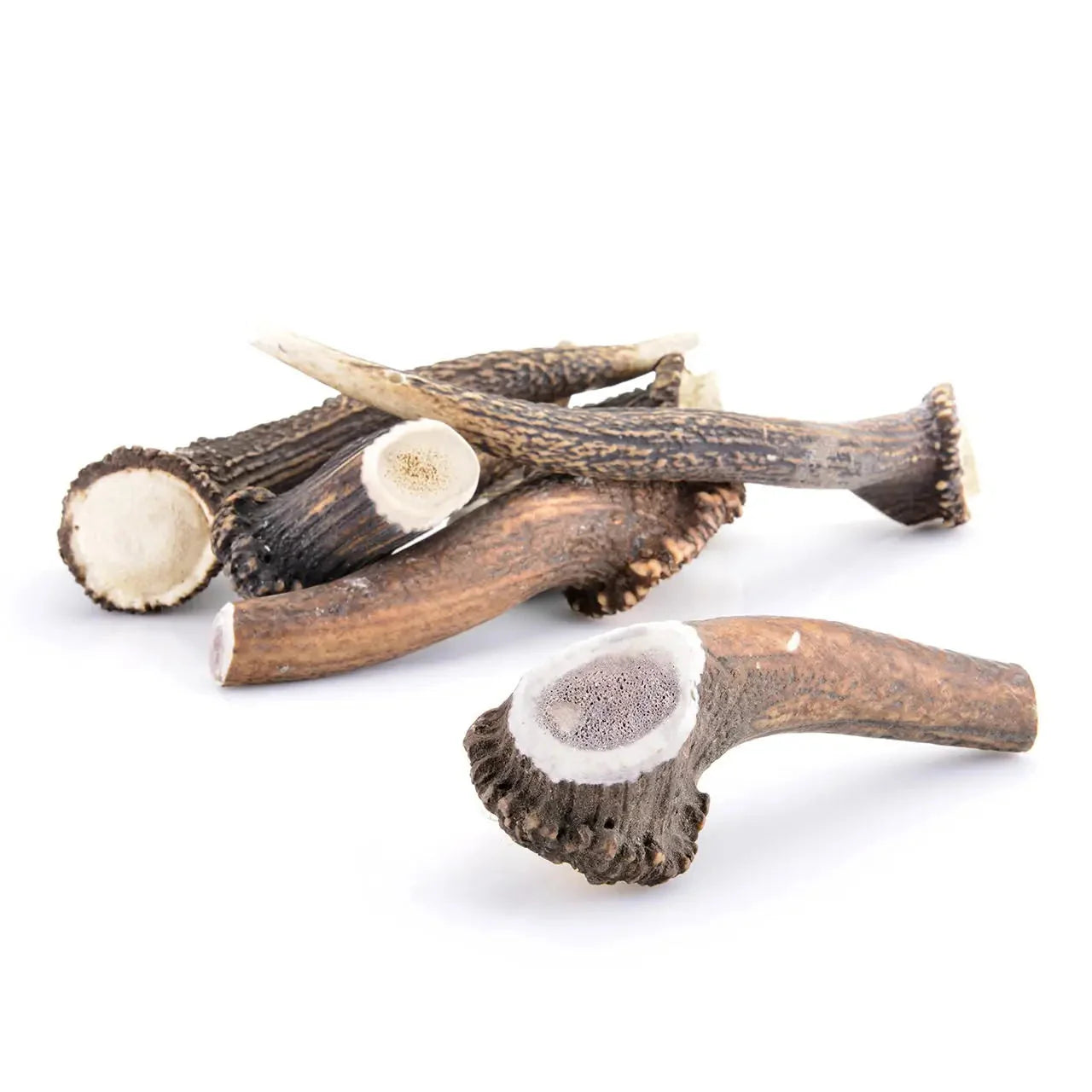 Bois de cerf entier pour chien
