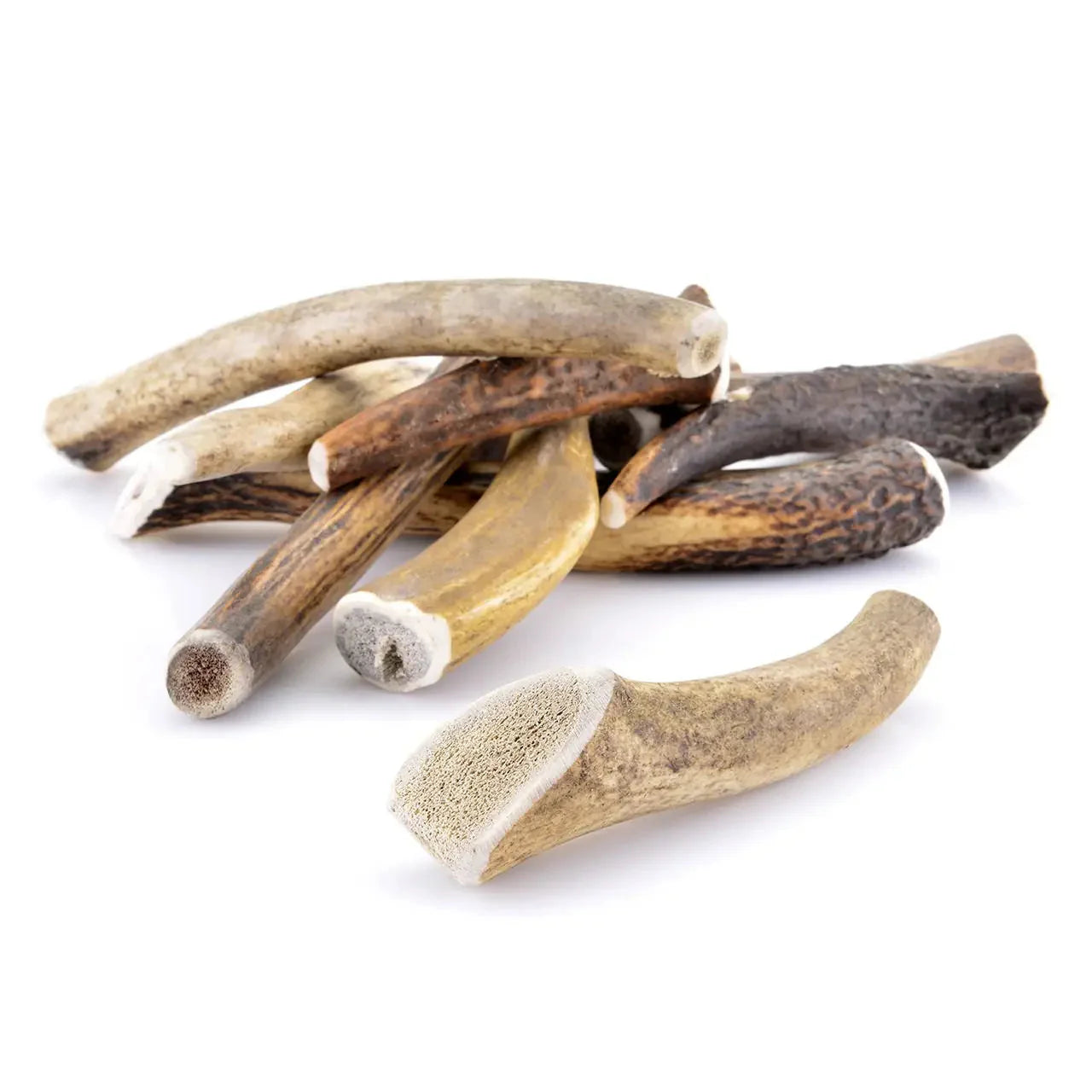 Bois de cerf entier pour chien
