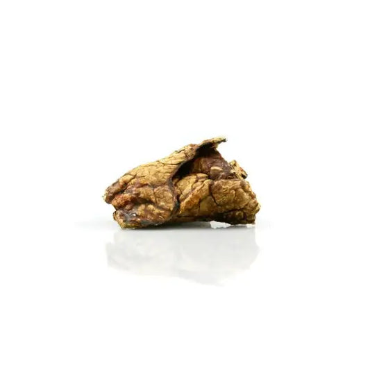 Poumon de bœuf pour chien